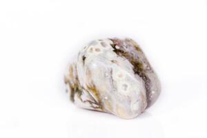 Macro mineral stone Jasper oceanic on a white background photo