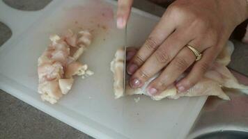 cutting chicken fillet at cooking classes. video