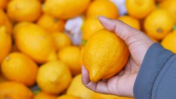 jung Frauen wählen Zitrone Verkauf im Supermärkte im Istanbul video