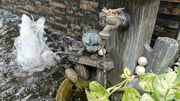 vidéo de cascade dans petit jardin video