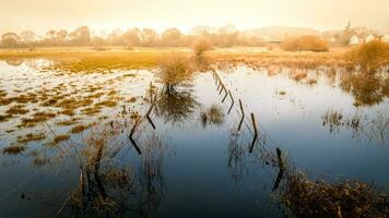 Misty morning over flooded fields by Pulborough, west sussex, uk photo