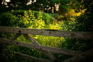 Gate in a wooden fence on a foothpath toward forest close to Brighton, East Sussex, UK photo