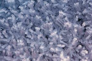 Close up picture of frost and snow on a car on a cold morning photo