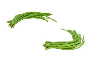 fresh raw Thai long beans on white photo