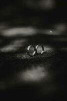 dos Boda anillos en un negro antecedentes foto