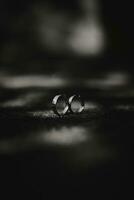 two rings sitting on a table in black and white photo