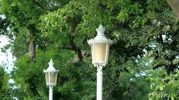 elegante calle lámpara rodeado por arboles video