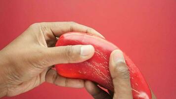 slow motion of hand breaking a red capsicum video