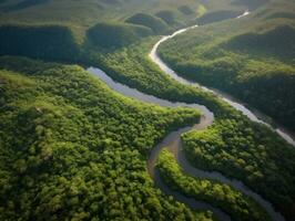 un aéreo ver de un devanado río corte mediante un denso bosque generativo ai foto