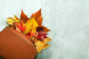 Top view of brown bag with different autumn leaves with space for text. Autumn concept background photo