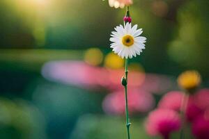 a single daisy is standing in front of a field of flowers. AI-Generated photo