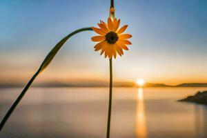 un soltero flor es en pie en frente de el Oceano a puesta de sol. generado por ai foto