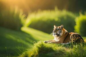 a tiger sitting on the grass in the sun. AI-Generated photo