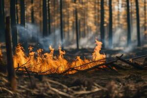 a forest fire in the middle of a forest. AI-Generated photo