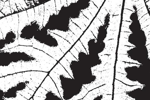 textura vectorial agrietada rústica con muchas grietas y arañazos. fondo abstracto. superficie rota y dañada. vector