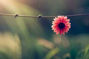 a single pink flower is hanging from a wire. AI-Generated photo
