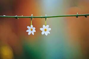 two white flowers hanging from a wire. AI-Generated photo