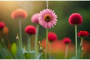 pink flowers in the sun with green grass. AI-Generated photo