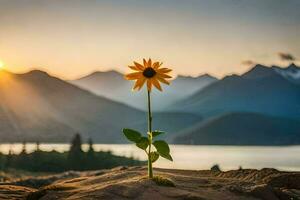 a single sunflower stands on a rock in front of a lake and mountains. AI-Generated photo