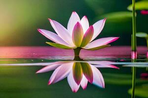 a lotus flower is reflected in the water. AI-Generated photo
