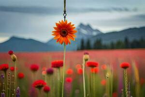 a single orange flower in a field of red flowers. AI-Generated photo