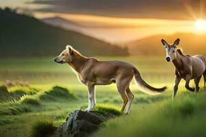 two horses standing on a grassy hill at sunset. AI-Generated photo