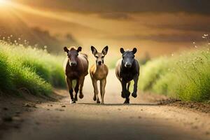 Tres caballos corriendo abajo un suciedad la carretera. generado por ai foto