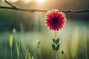 a red flower is standing on a branch in the sun. AI-Generated photo