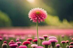 pink flowers in a field with sunlight. AI-Generated photo