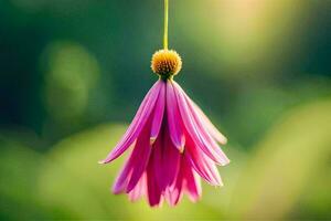 a pink flower hanging from a string. AI-Generated photo