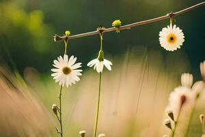 three daisies hanging from a branch in a field. AI-Generated photo