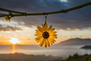 sunflower hanging from a vine at sunset. AI-Generated photo