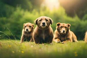 cinco cachorros son sentado en el césped. generado por ai foto