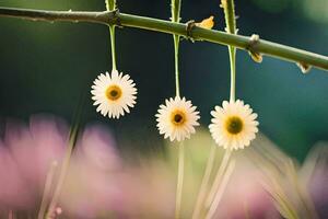 three daisies hanging from a branch. AI-Generated photo