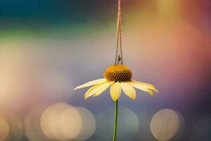 a single yellow flower hanging from a string. AI-Generated photo