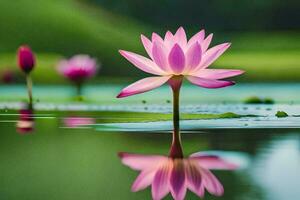 pink lotus flower in the water. AI-Generated photo