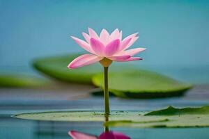 a pink lotus flower in the water. AI-Generated photo