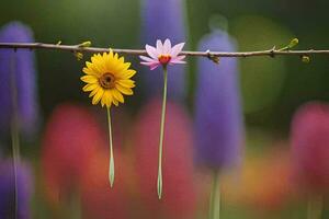 two flowers are hanging from a branch in a field. AI-Generated photo