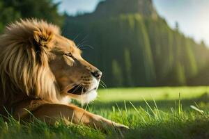 a lion laying in the grass. AI-Generated photo