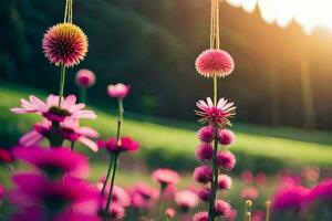 pink flowers in a field with the sun setting behind them. AI-Generated photo