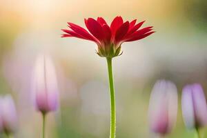 a red flower stands out in the middle of a field. AI-Generated photo