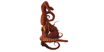 pulpo aislado en un transparente antecedentes png