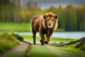 un león caminando en un camino cerca un lago. generado por ai foto