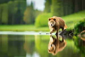 a lion walking across a lake with its reflection. AI-Generated photo