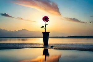 un flor en un florero en el playa a puesta de sol. generado por ai foto