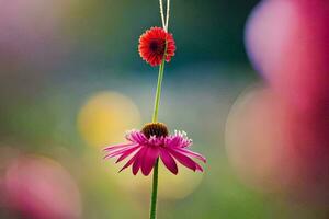 two pink flowers are hanging from a string. AI-Generated photo