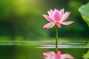 a pink lotus flower is floating in the water. AI-Generated photo