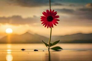 a red flower is standing in the water at sunset. AI-Generated photo