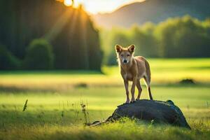 a dog standing on a rock in the middle of a field. AI-Generated photo