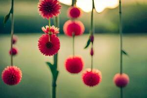 red flowers hanging from a string in the sun. AI-Generated photo
